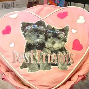 Large Yorkie  Best friends bling decorative pillow
